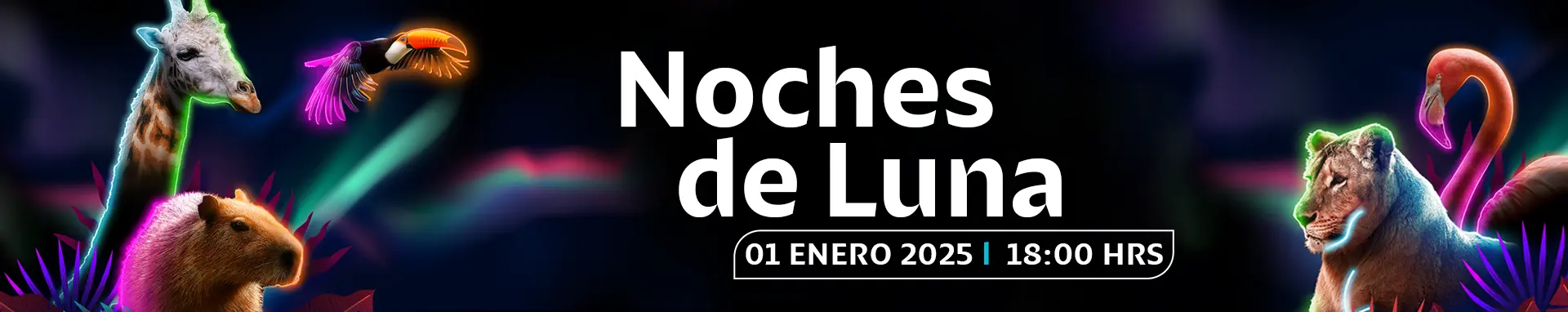 Banner Noches de Luna