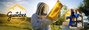 Descubre el dulce mundo de las abejas en Guatebee 2