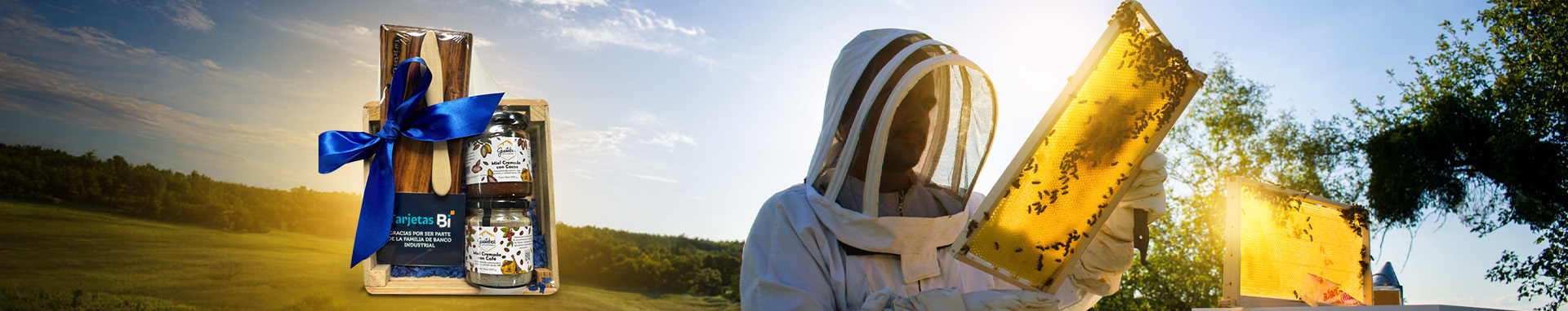 Descubre el dulce mundo de las abejas en Guatebee 3