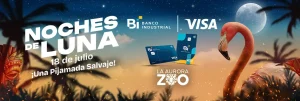 ¡Noches de luna en el Zoológico!