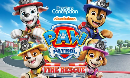 PAW PATROL PRADERA CONCEPCION