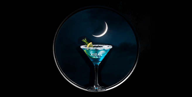 Banner_Clase-Xibal-02_Avia