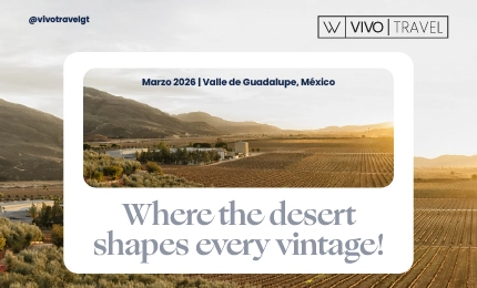 Adaptaciones Vivo Travel_Adaptaciones Vivo Travel_Header 430x260 (1)