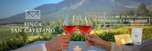 Brindis Día de la Madre