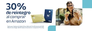 visa-bi-amazon