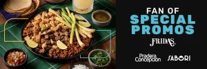 FRIDAS SABORI PRADERA CONCEPCIÓN