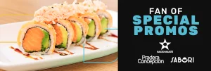 NACION SUSHI PRADERA CONCEPCIÓN