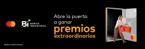 puertas 1185x400